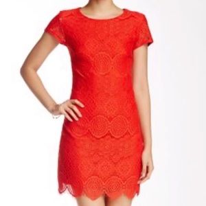 Laundry by Shelli Segal- red lace dress NWT size 4